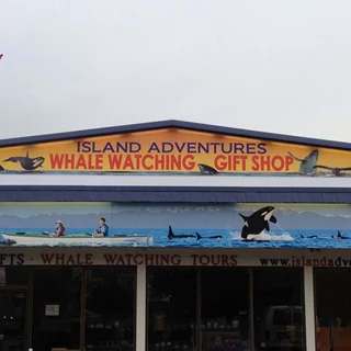  - Architectural Signage - Rigid Signage - Island Adventures Whale Watching - Anacortes, Wa